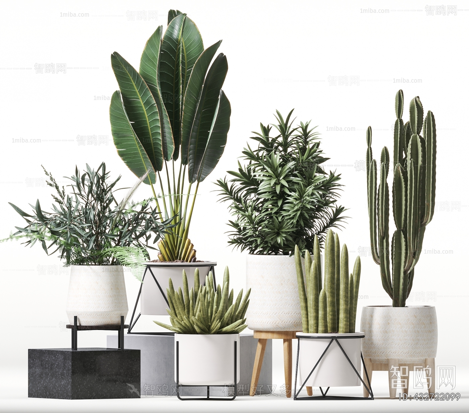 Modern Ground Green Plant Potted Plants