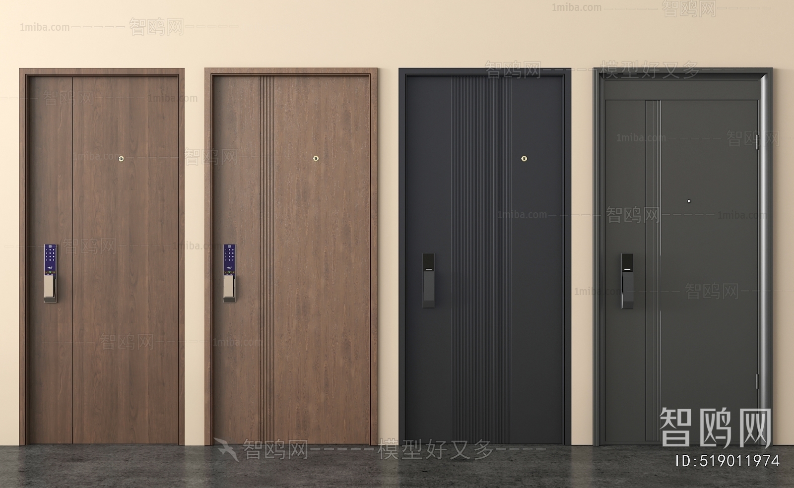 Modern Entrance Door