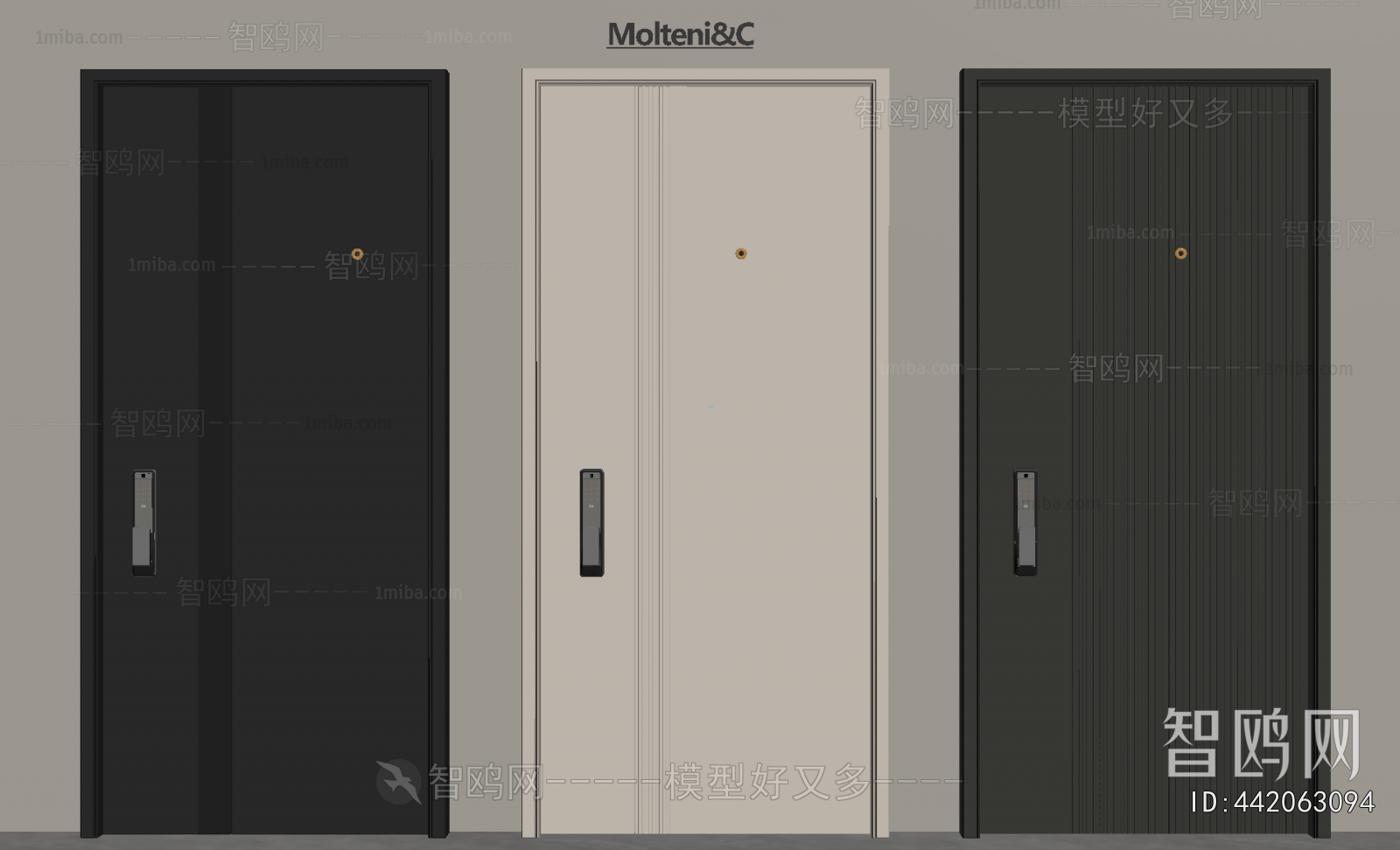 Modern Entrance Door