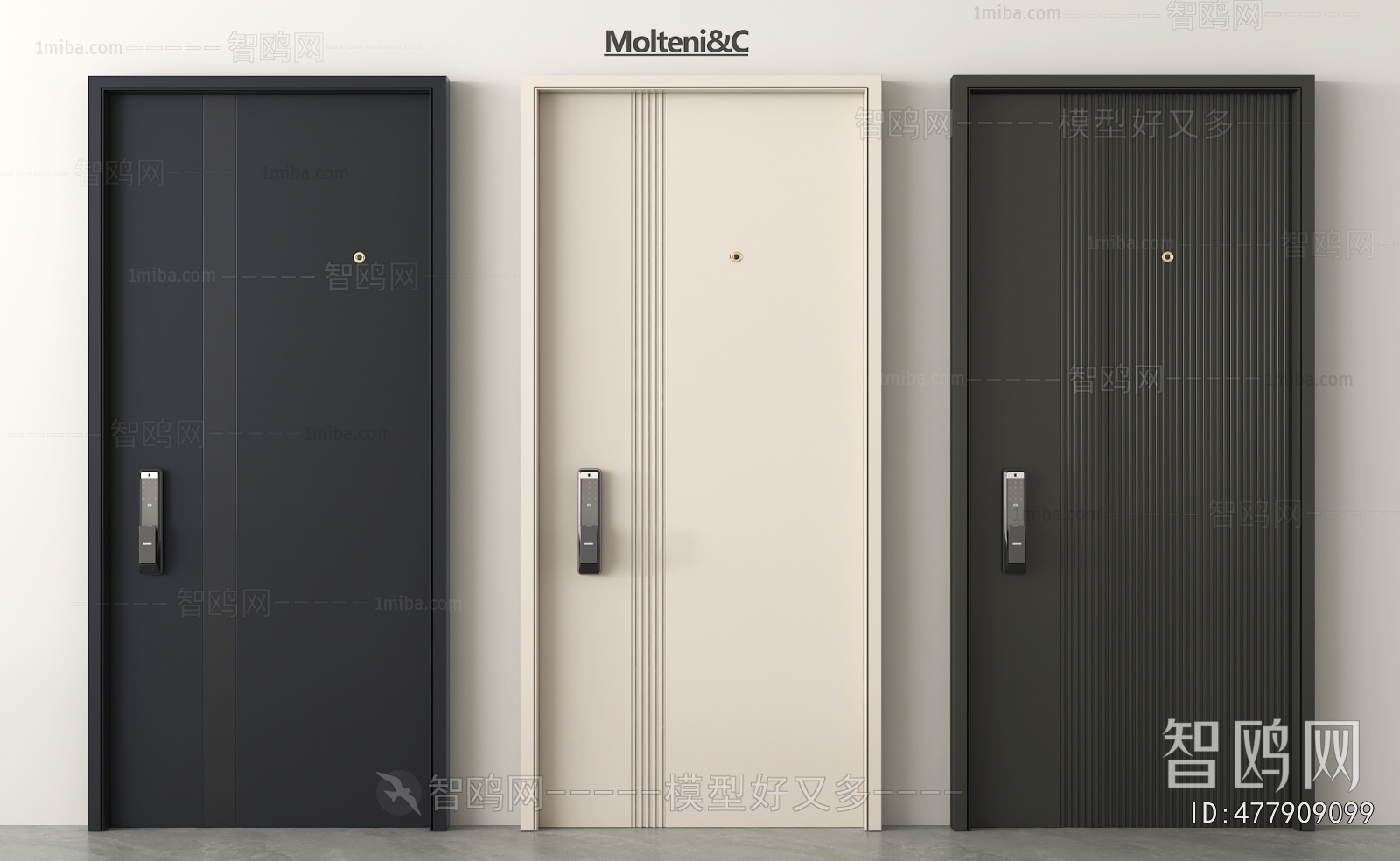 Modern Entrance Door