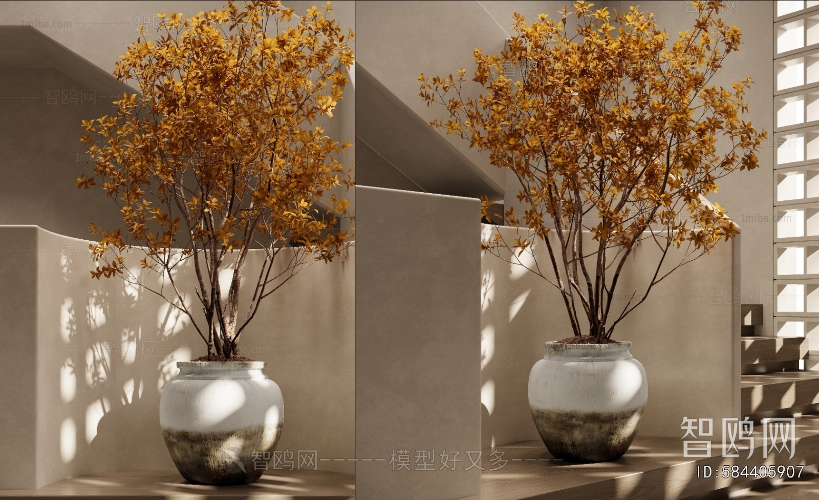 Modern Ground Green Plant Potted Plants