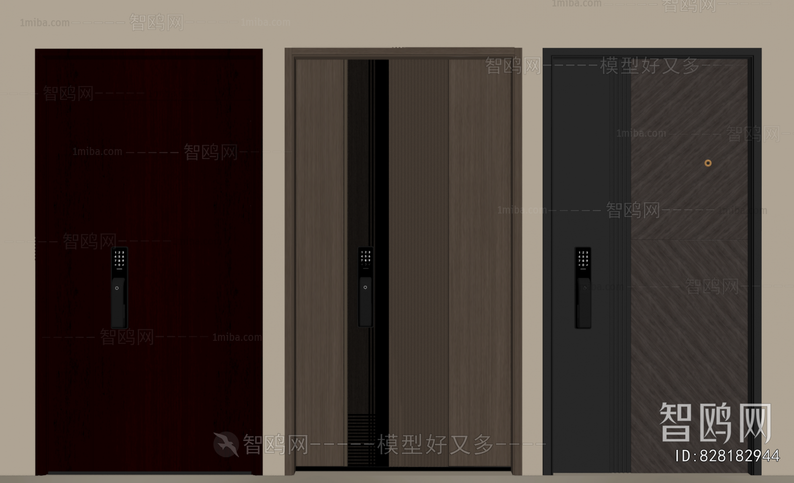 Modern Entrance Door