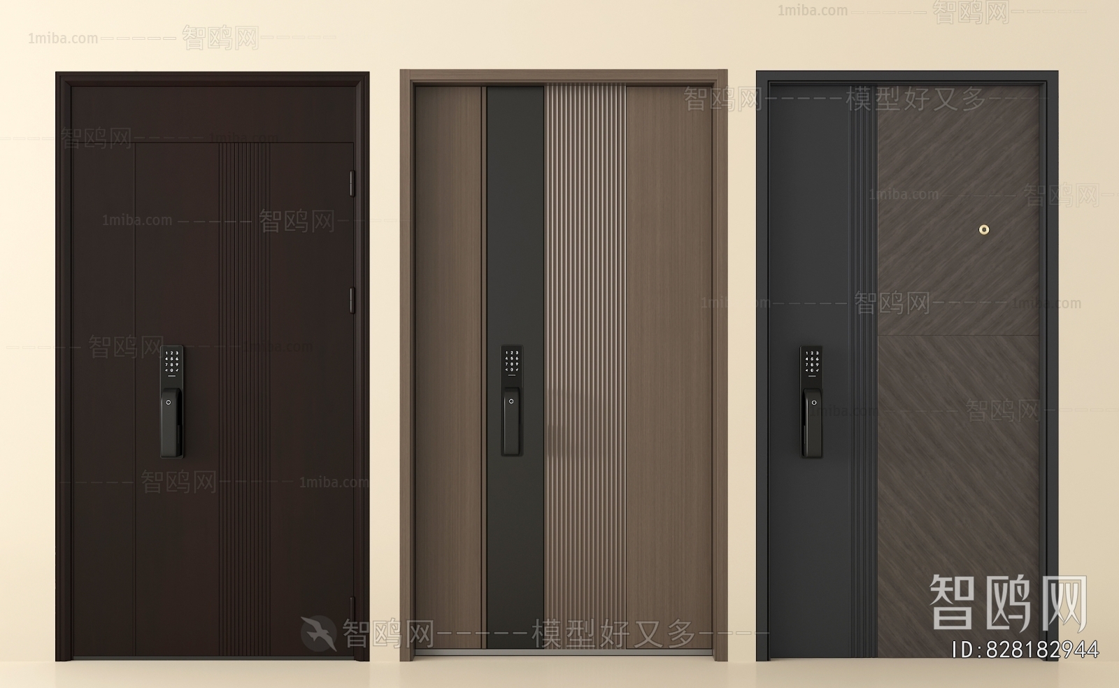 Modern Entrance Door