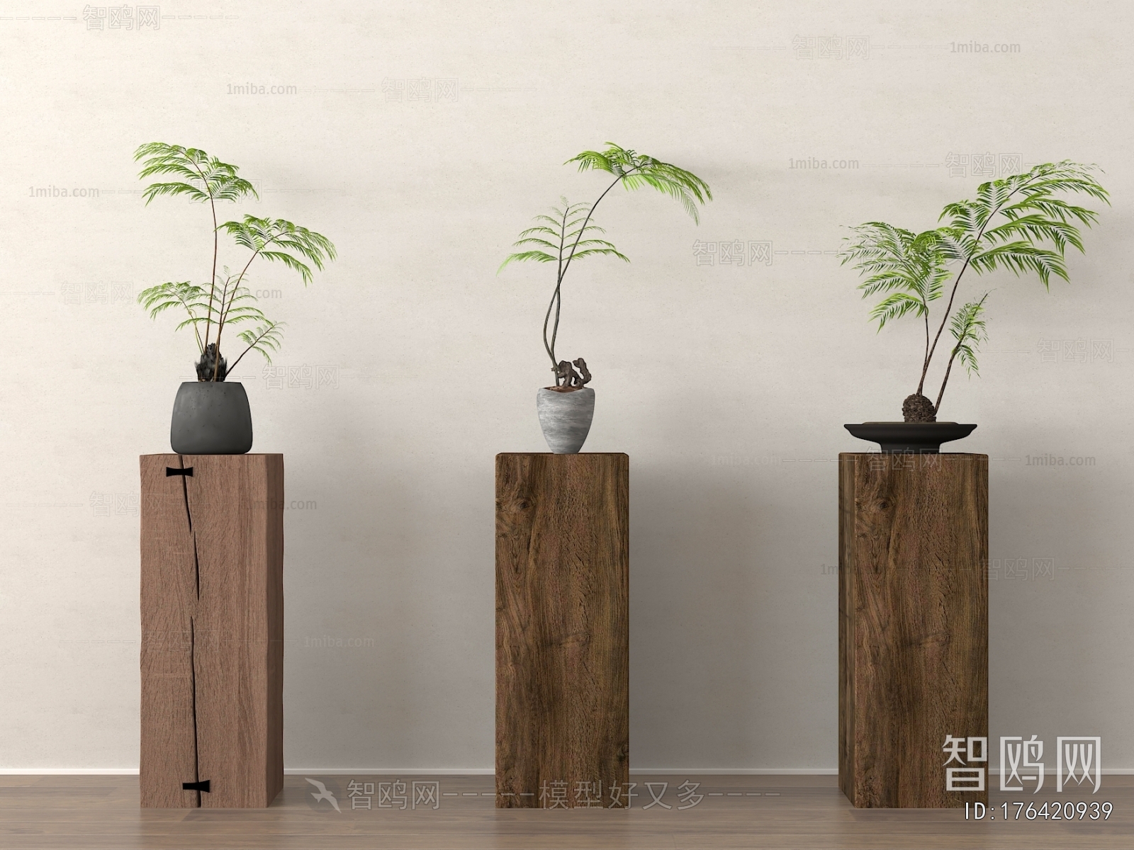 Wabi-sabi Style Bonsai