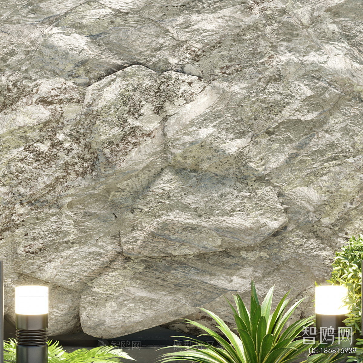 Modern Plant Landscaping