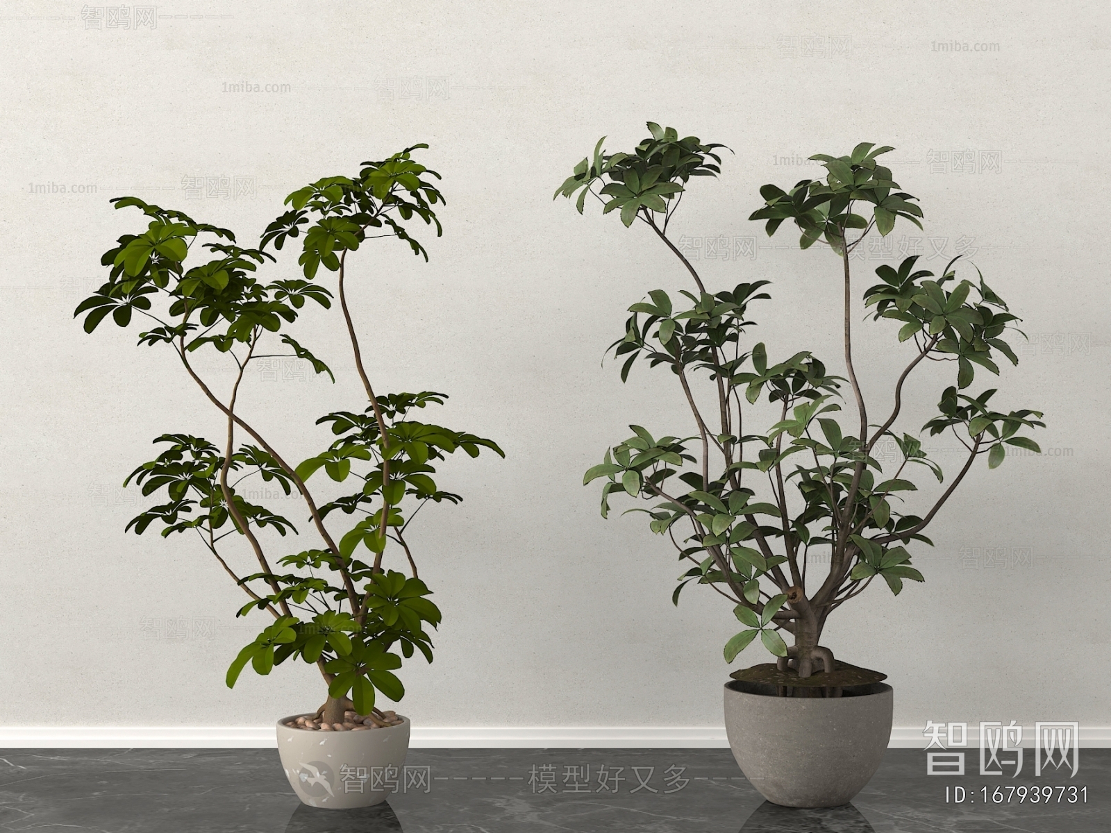 Modern Ground Green Plant Potted Plants