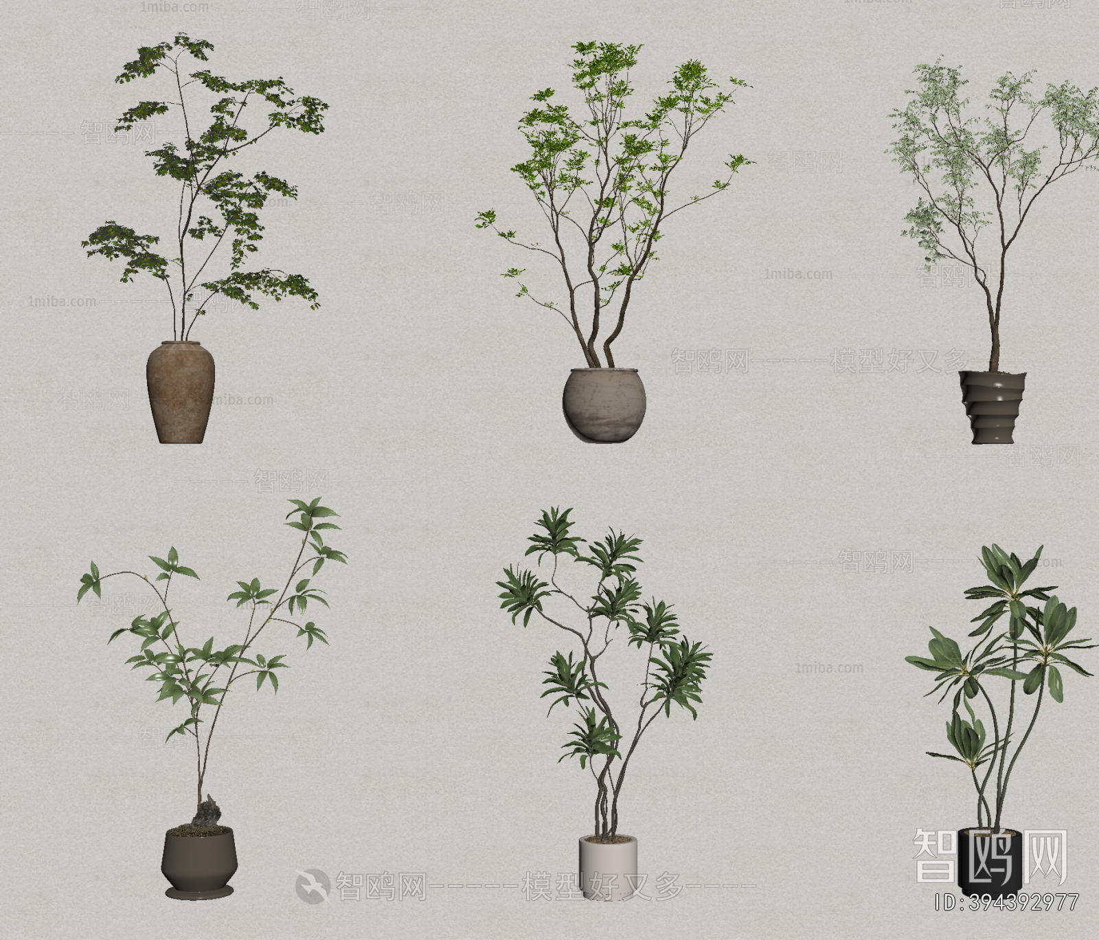 Modern Ground Green Plant Potted Plants