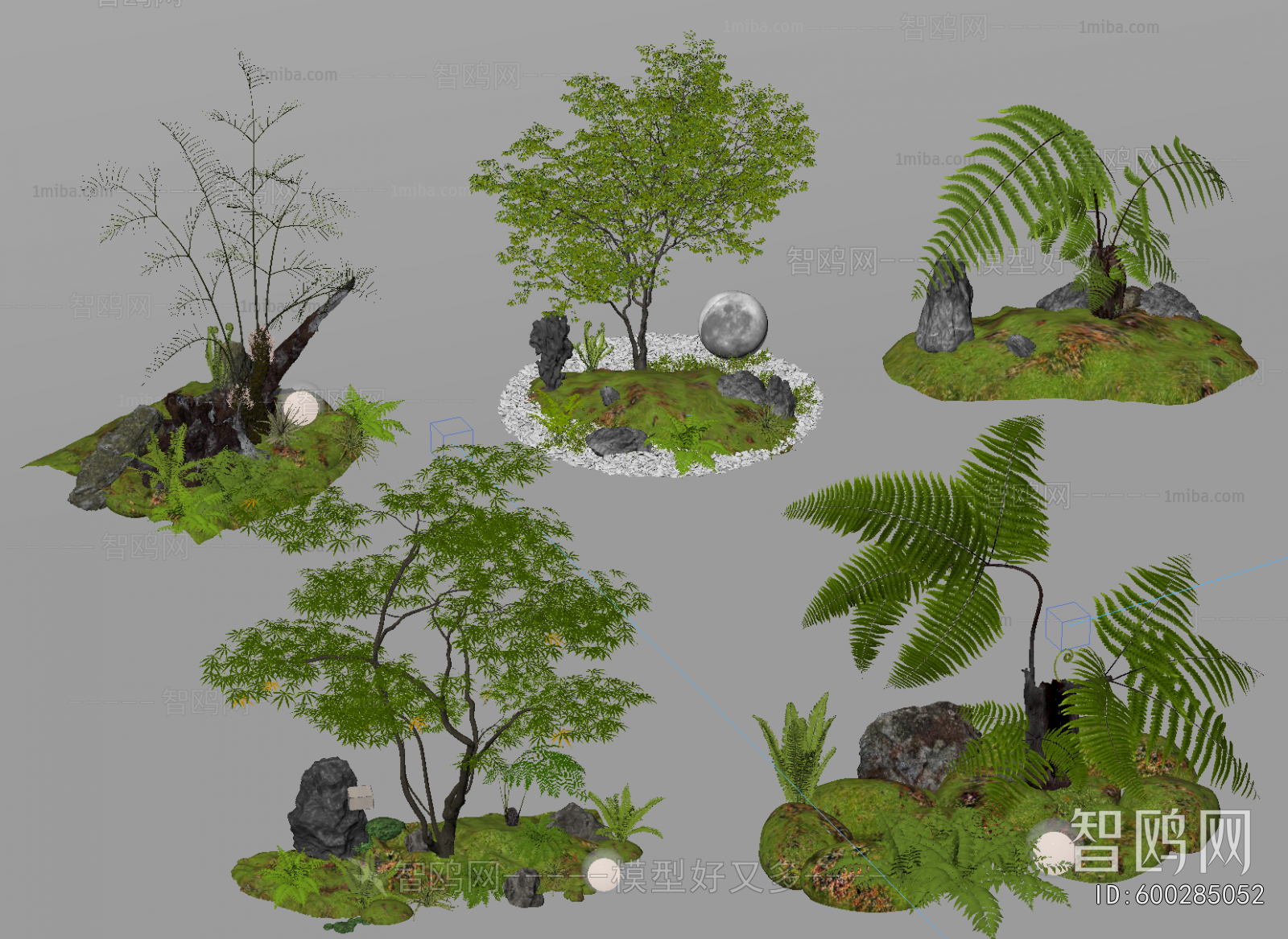 Modern Plant Landscaping