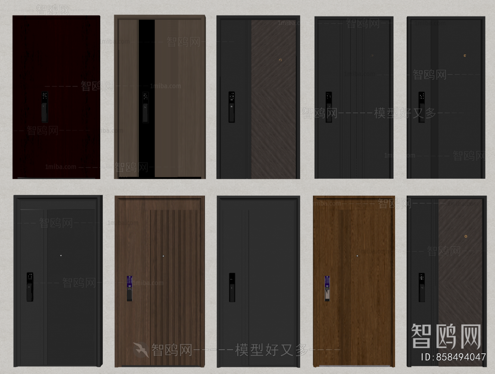 Modern Entrance Door