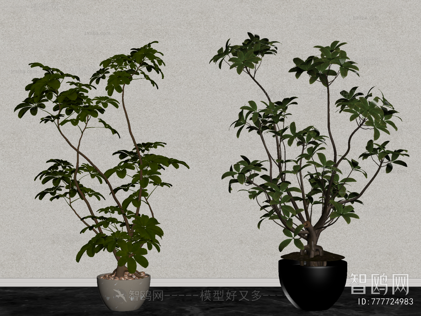 Modern Ground Green Plant Potted Plants