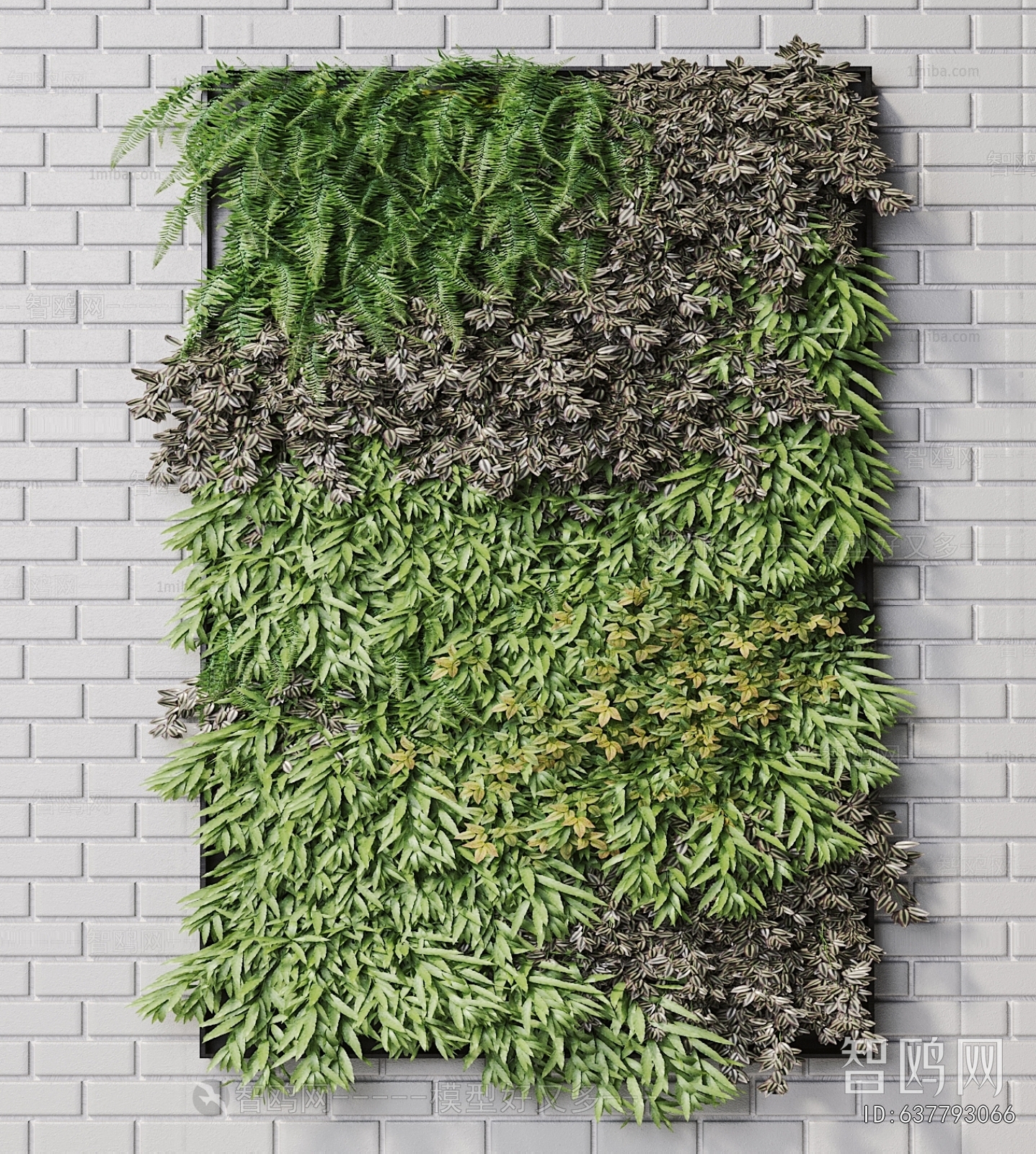 Modern Plant Wall
