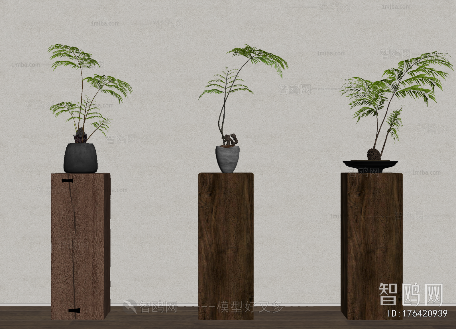 Wabi-sabi Style Bonsai