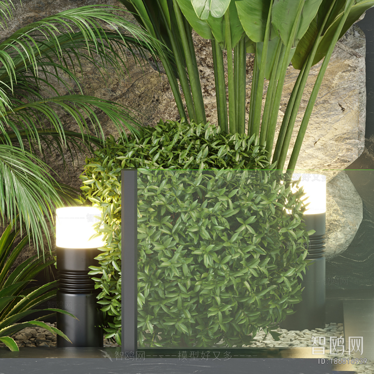 Modern Plant Landscaping