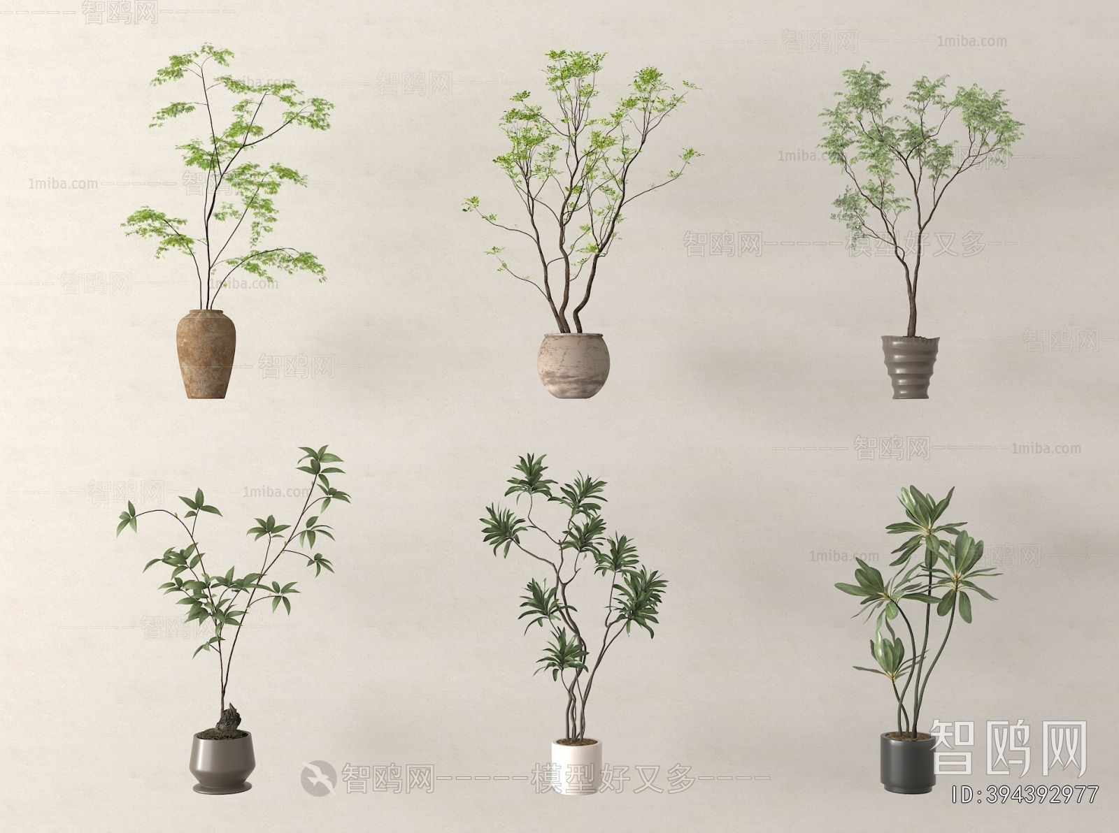 Modern Ground Green Plant Potted Plants