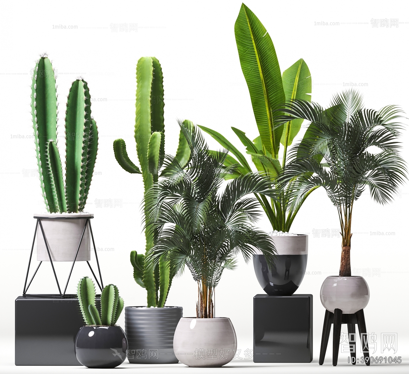 Modern Ground Green Plant Potted Plants