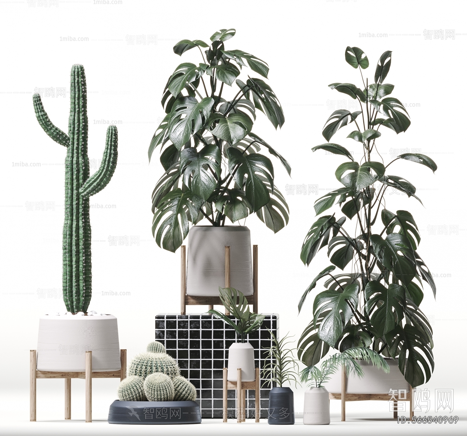 Modern Ground Green Plant Potted Plants