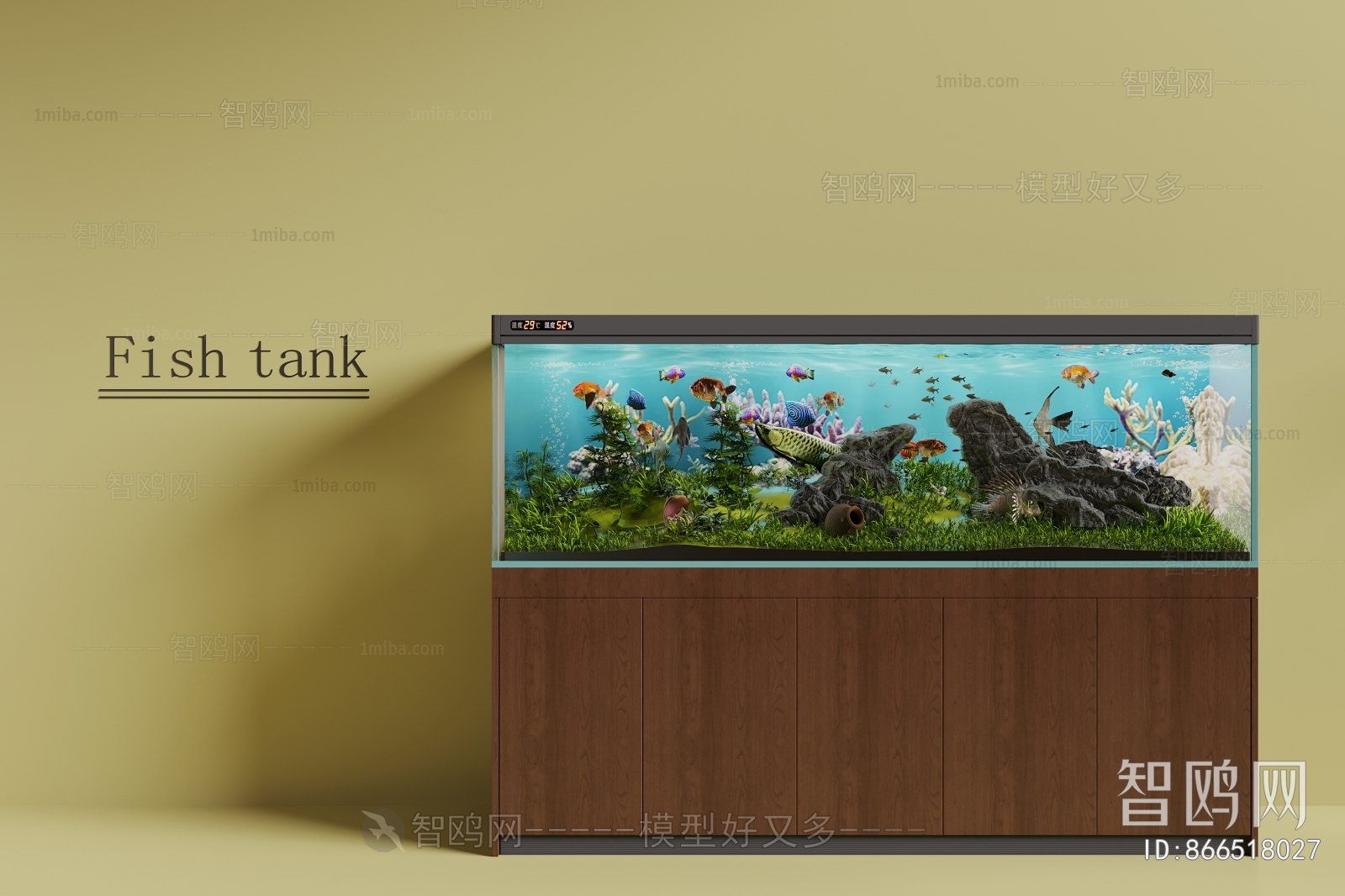 Modern Fish Tank