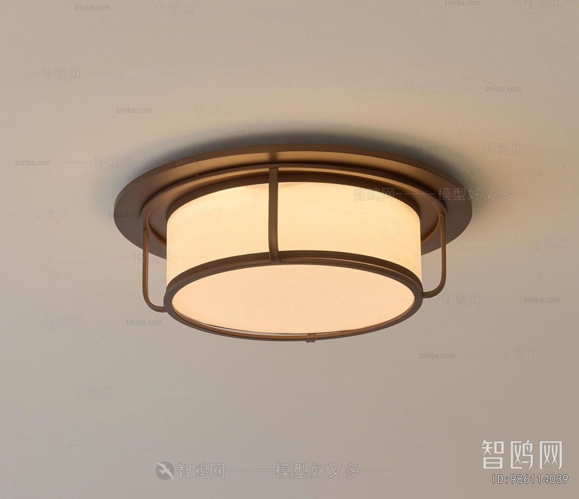 Modern Ceiling Ceiling Lamp