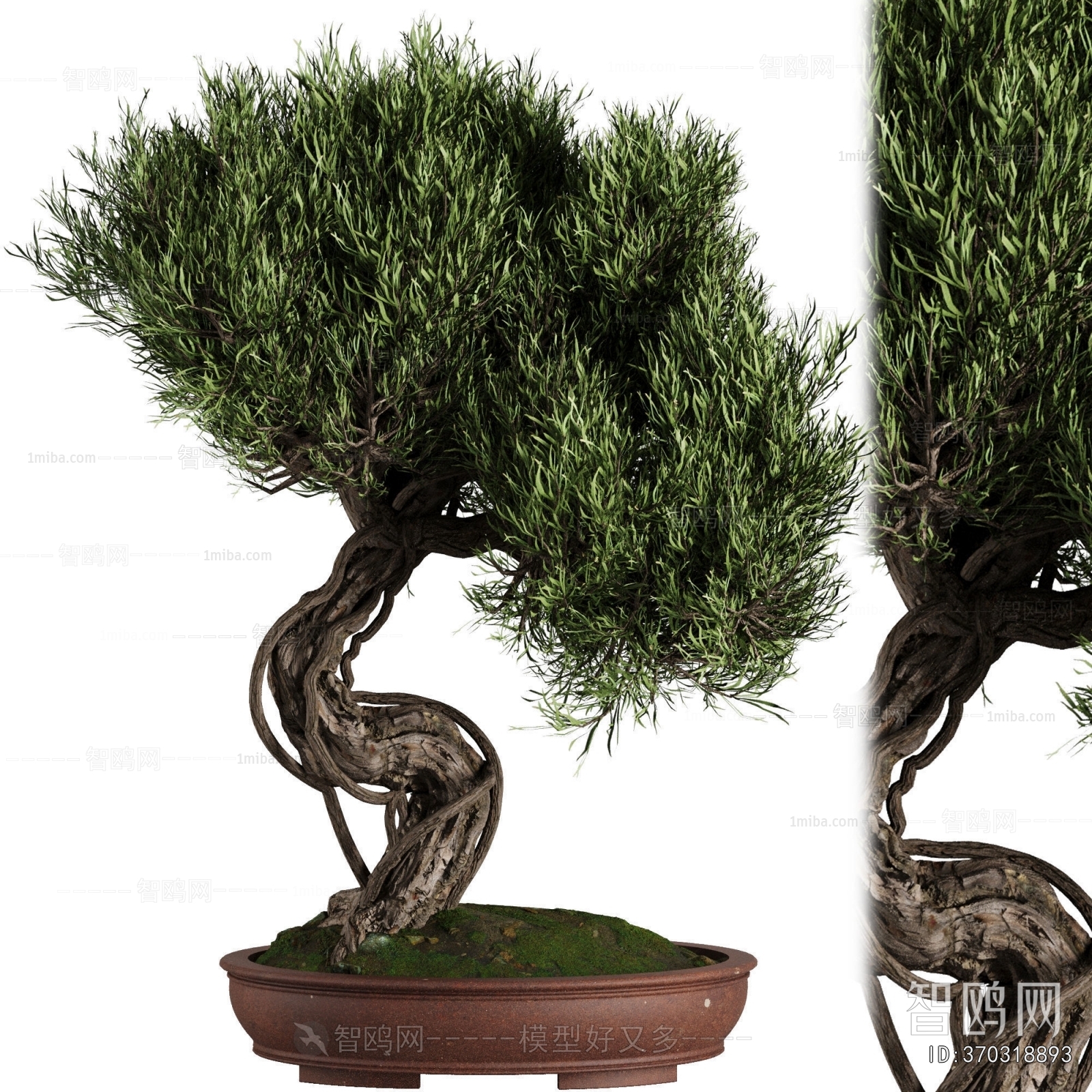 New Chinese Style Bonsai