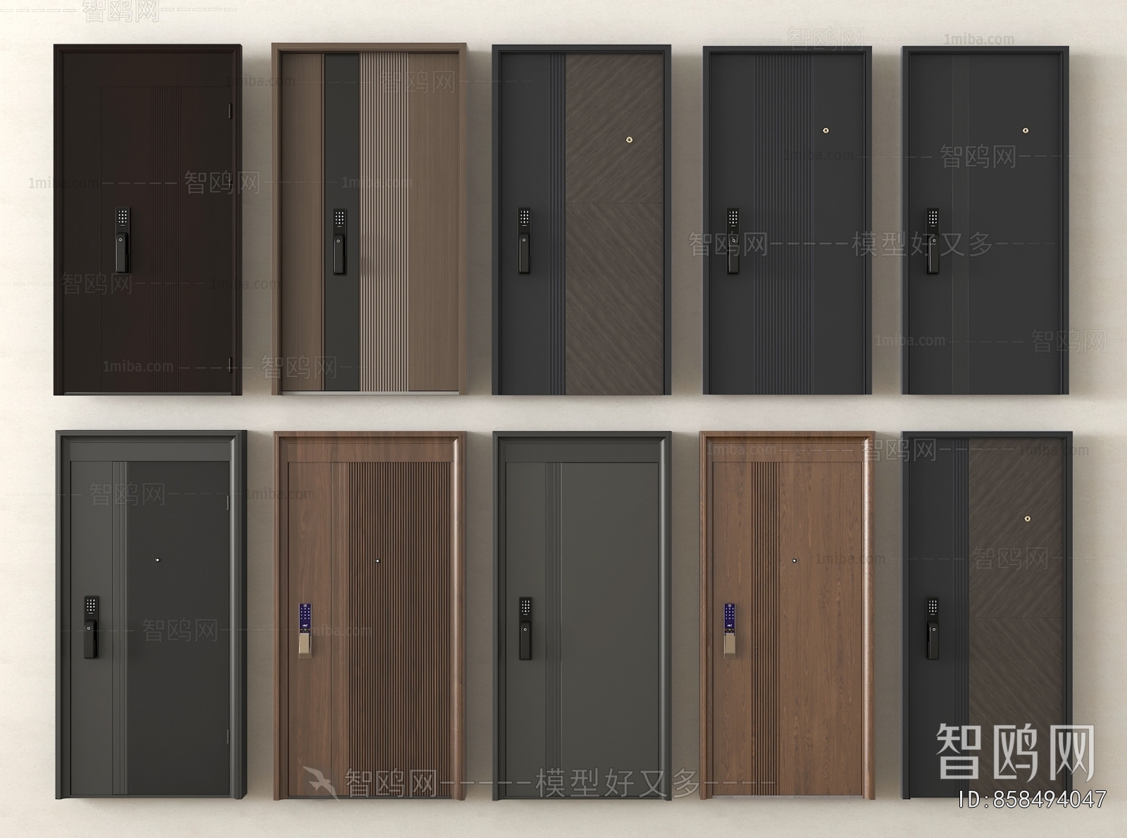 Modern Entrance Door