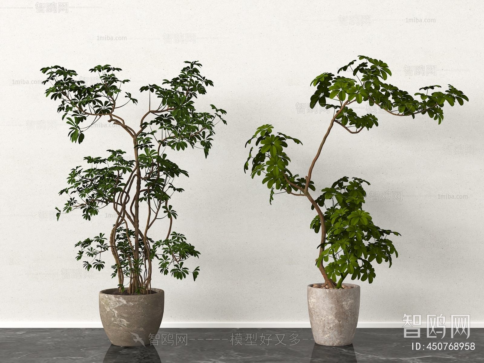 Modern Ground Green Plant Potted Plants