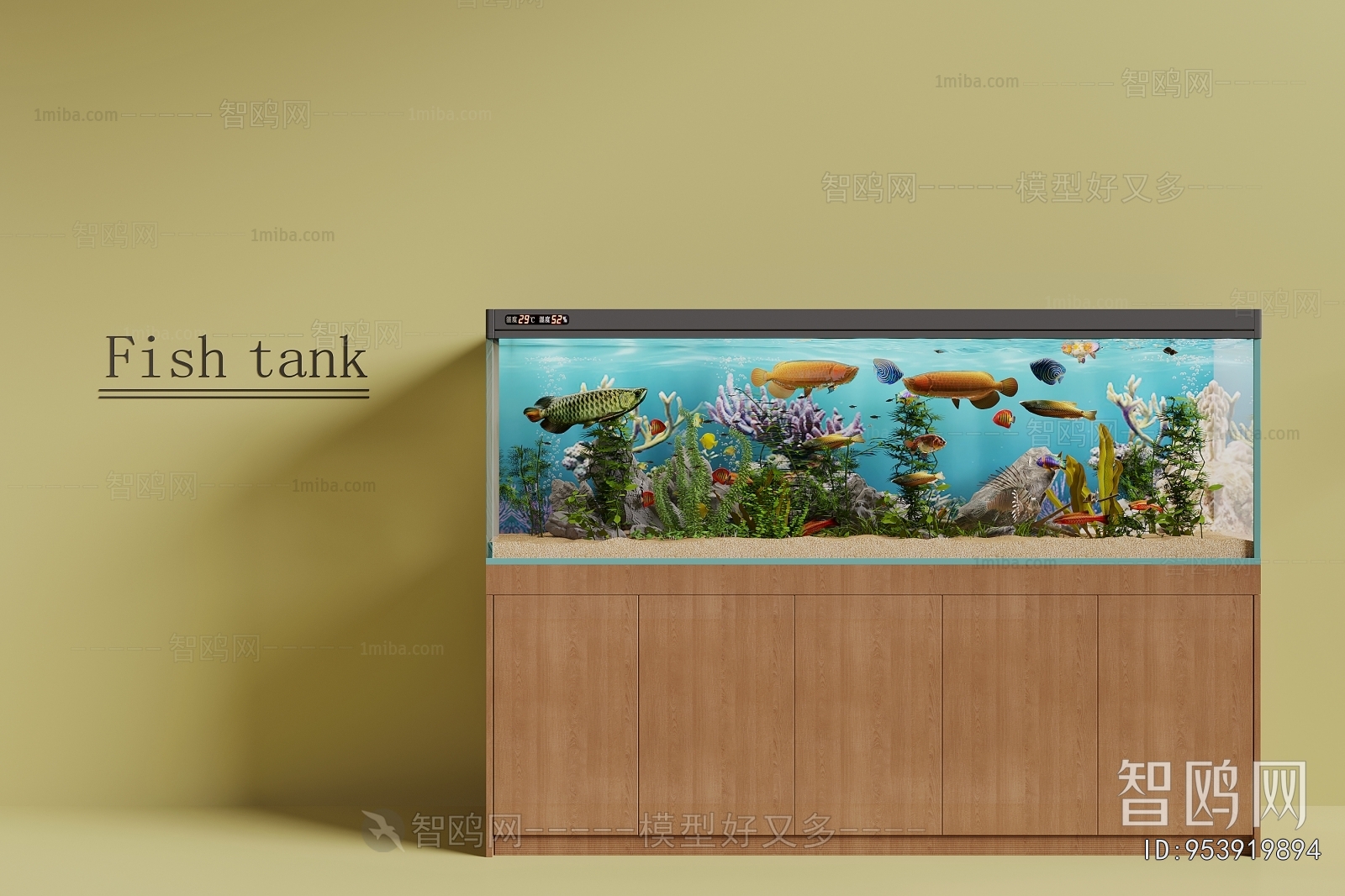 Modern Fish Tank
