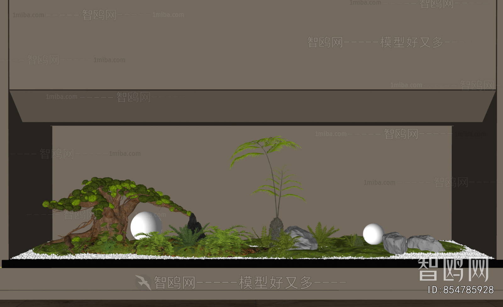 Modern Plant Landscaping