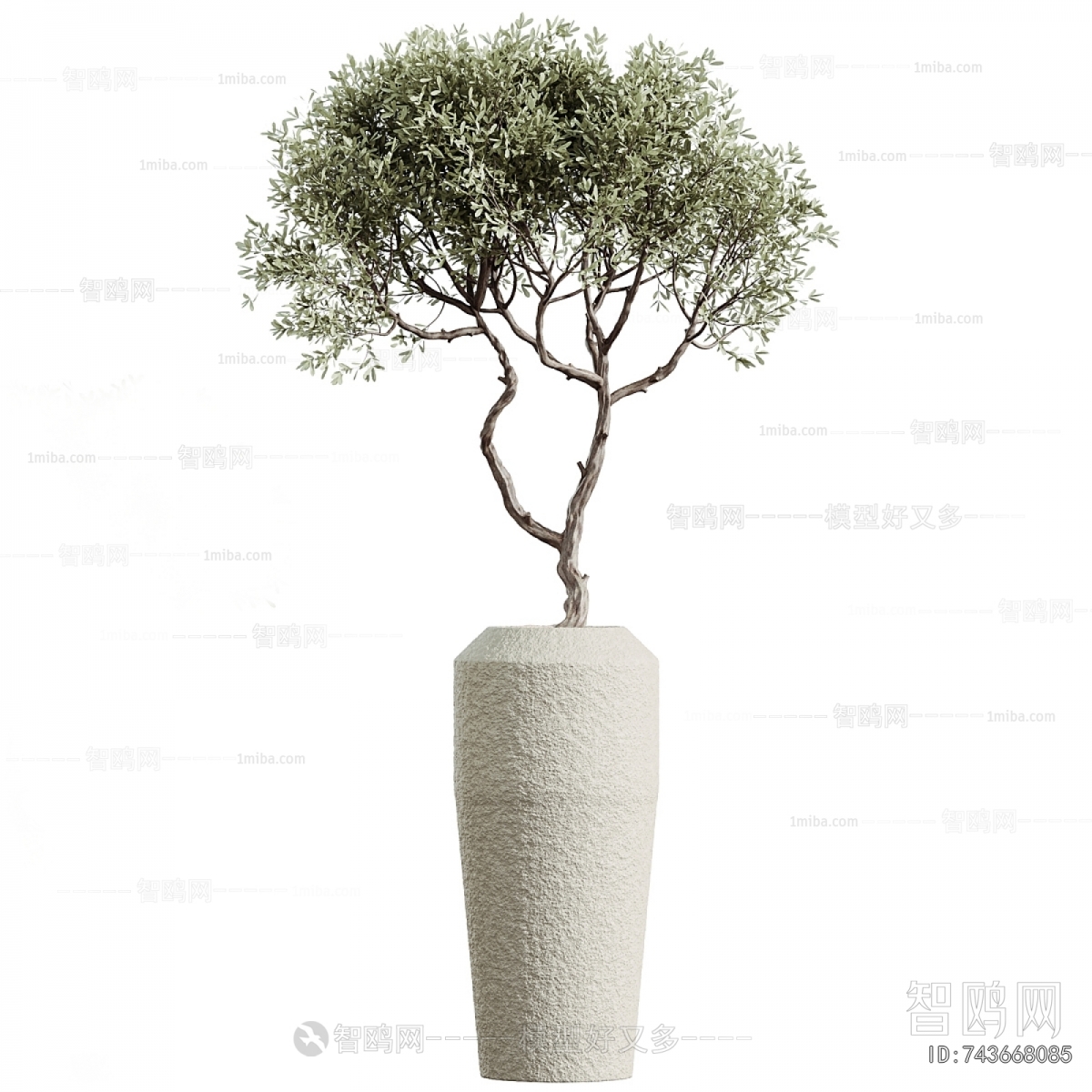 Modern Ground Green Plant Potted Plants