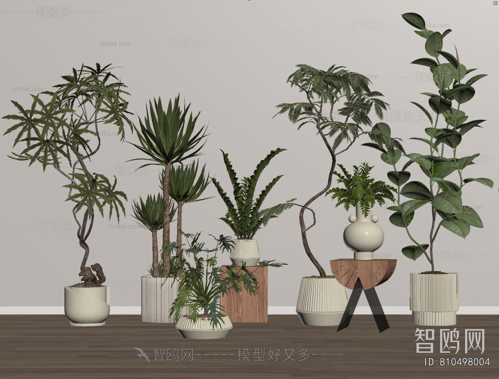Modern Ground Green Plant Potted Plants
