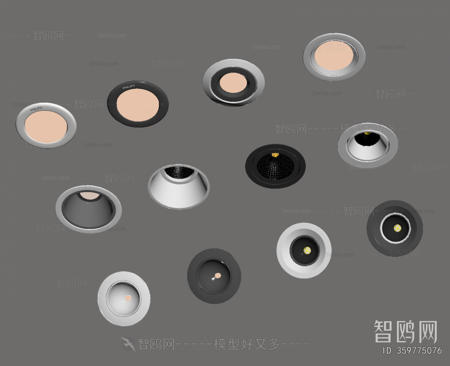 Modern Downlight Spot Light