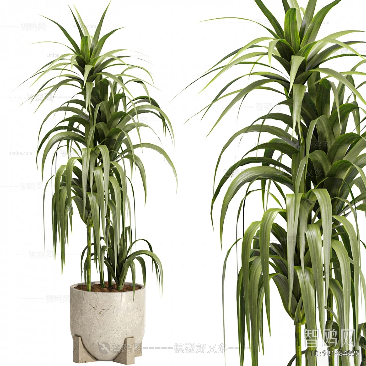 Modern Ground Green Plant Potted Plants