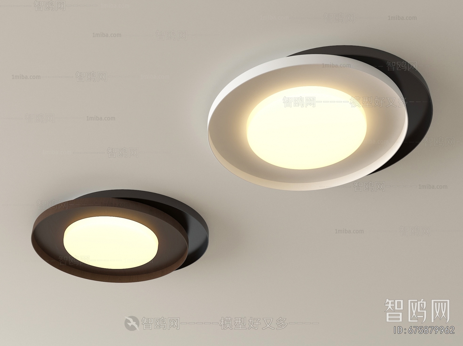 Modern Ceiling Ceiling Lamp