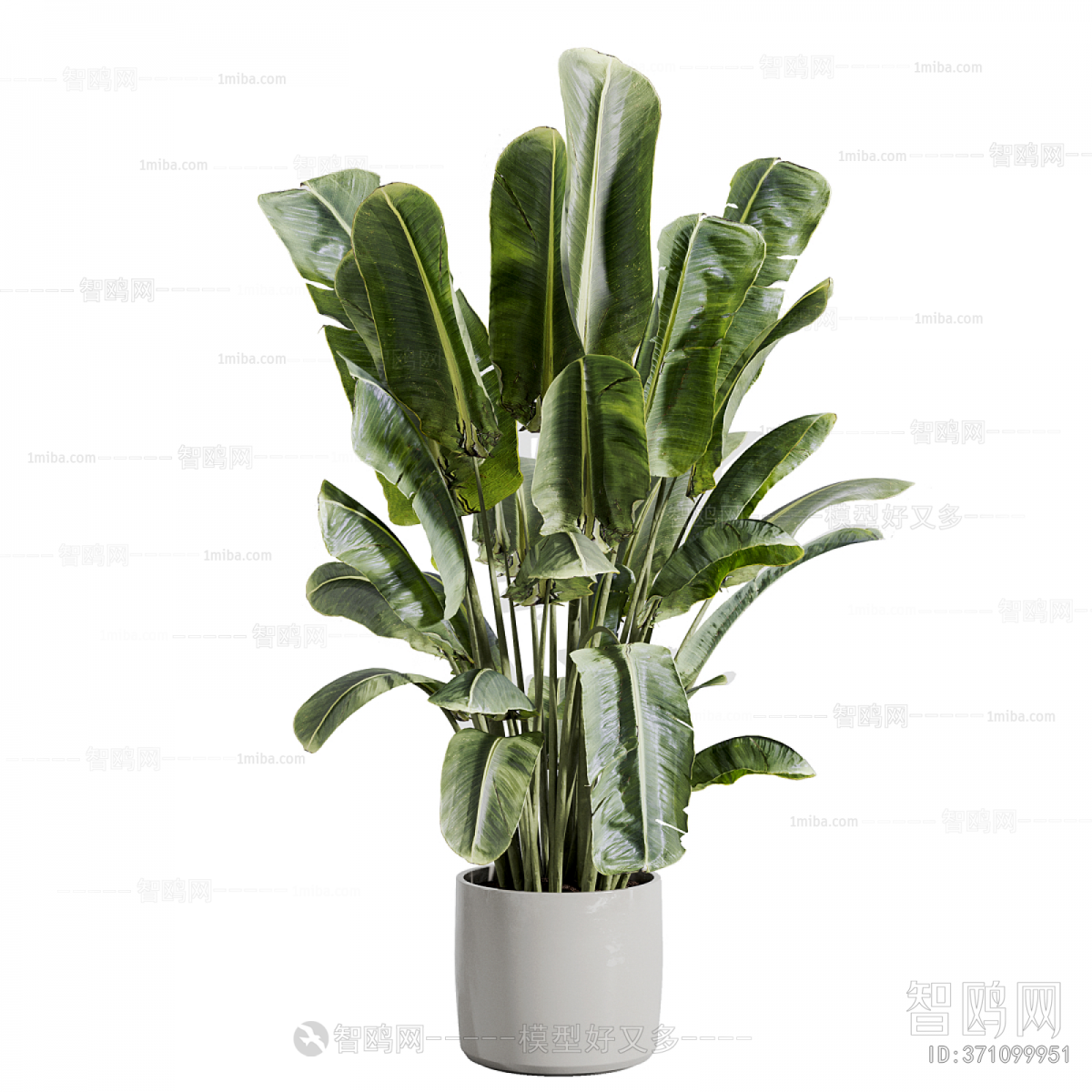 Modern Ground Green Plant Potted Plants