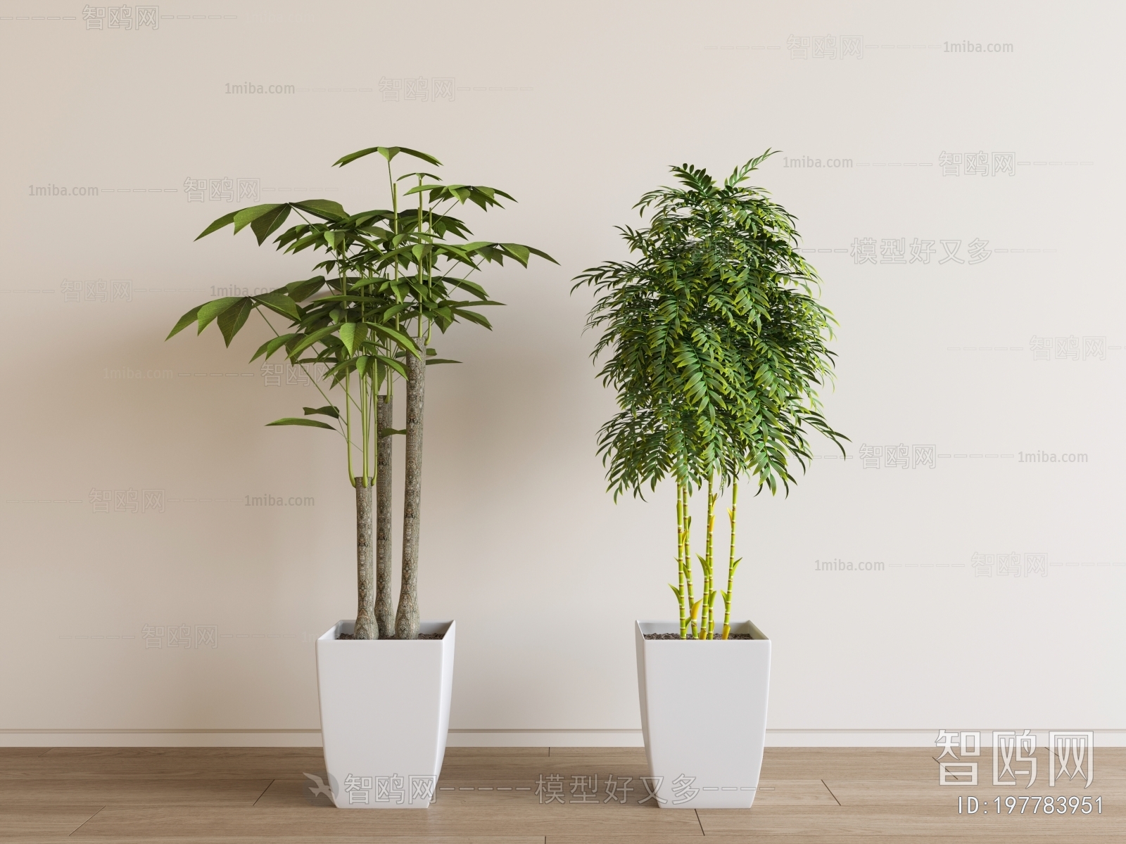 Modern Ground Green Plant Potted Plants