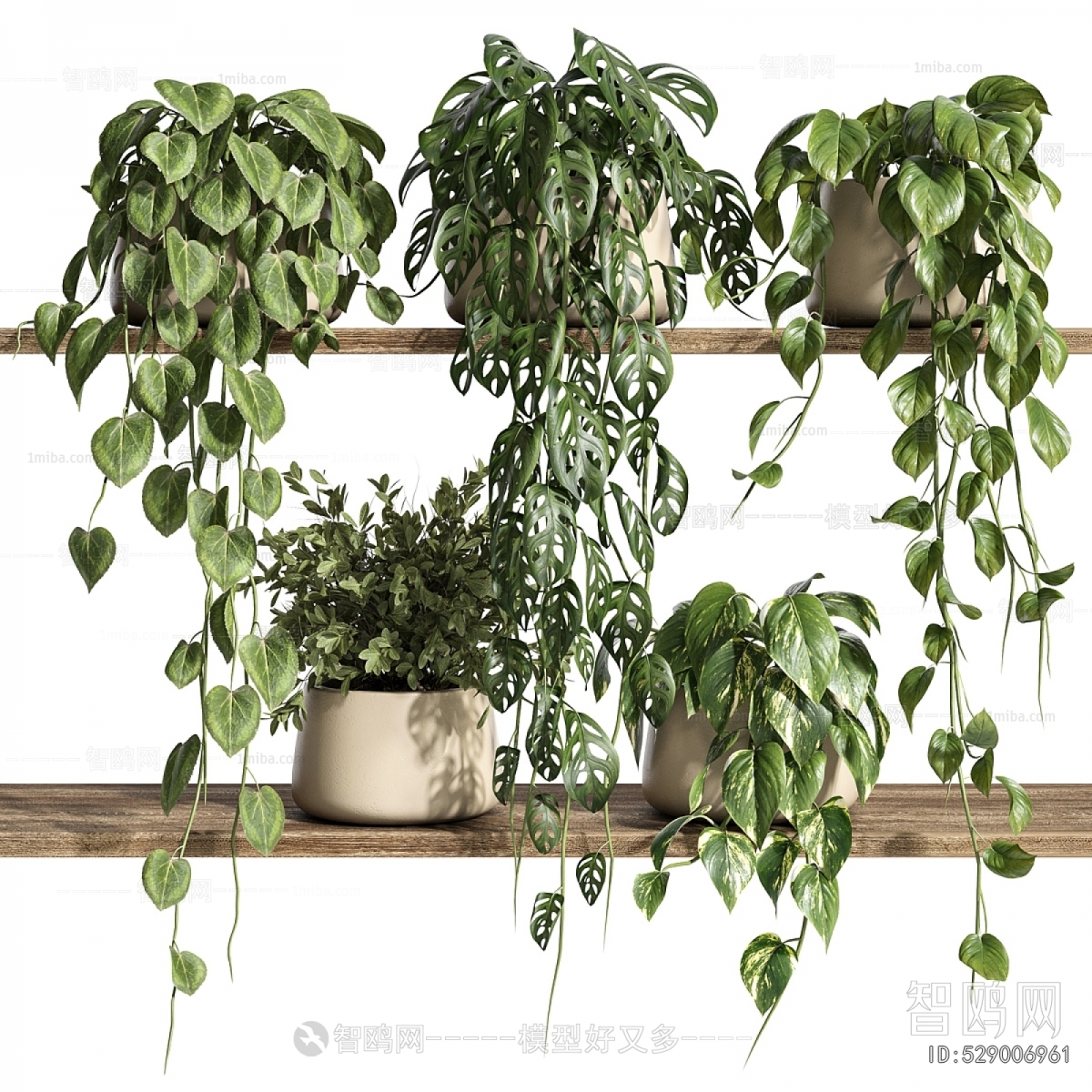 Modern Potted Green Plant