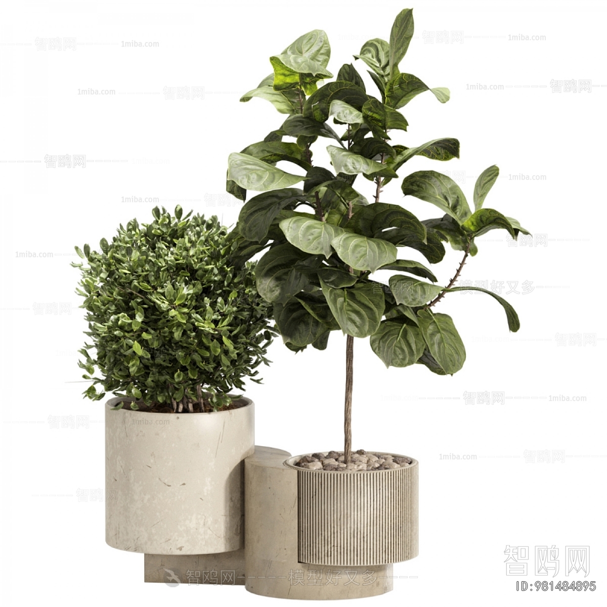 Modern Ground Green Plant Potted Plants