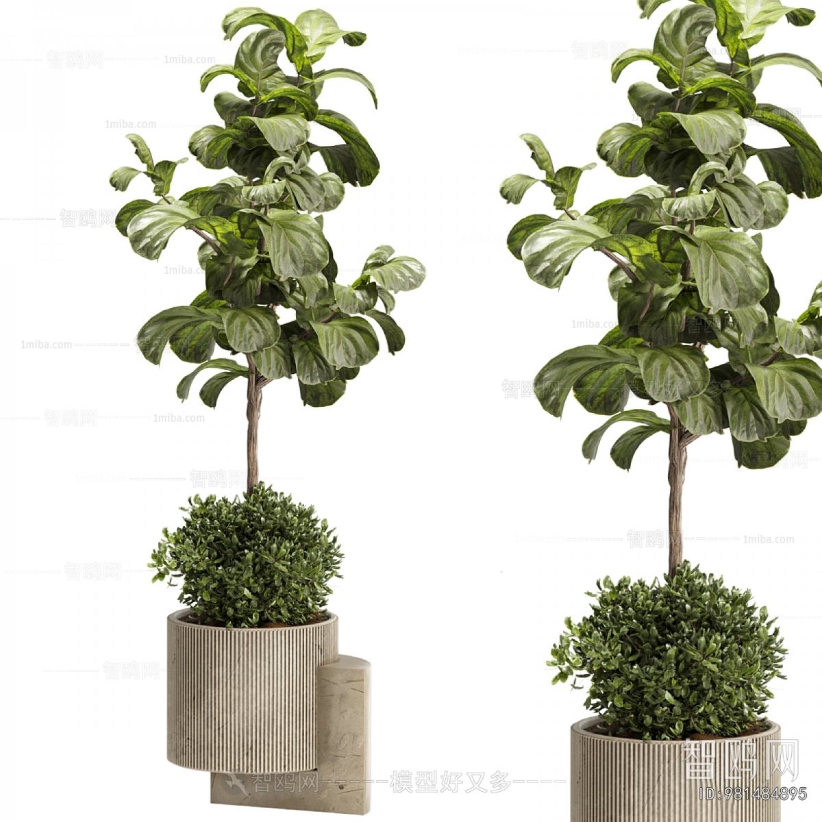 Modern Ground Green Plant Potted Plants