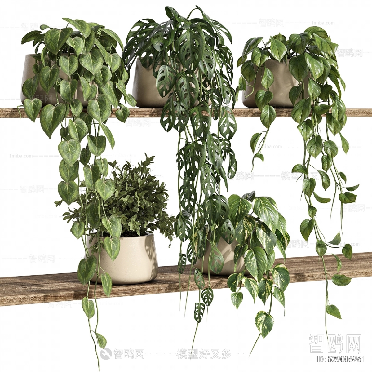 Modern Potted Green Plant