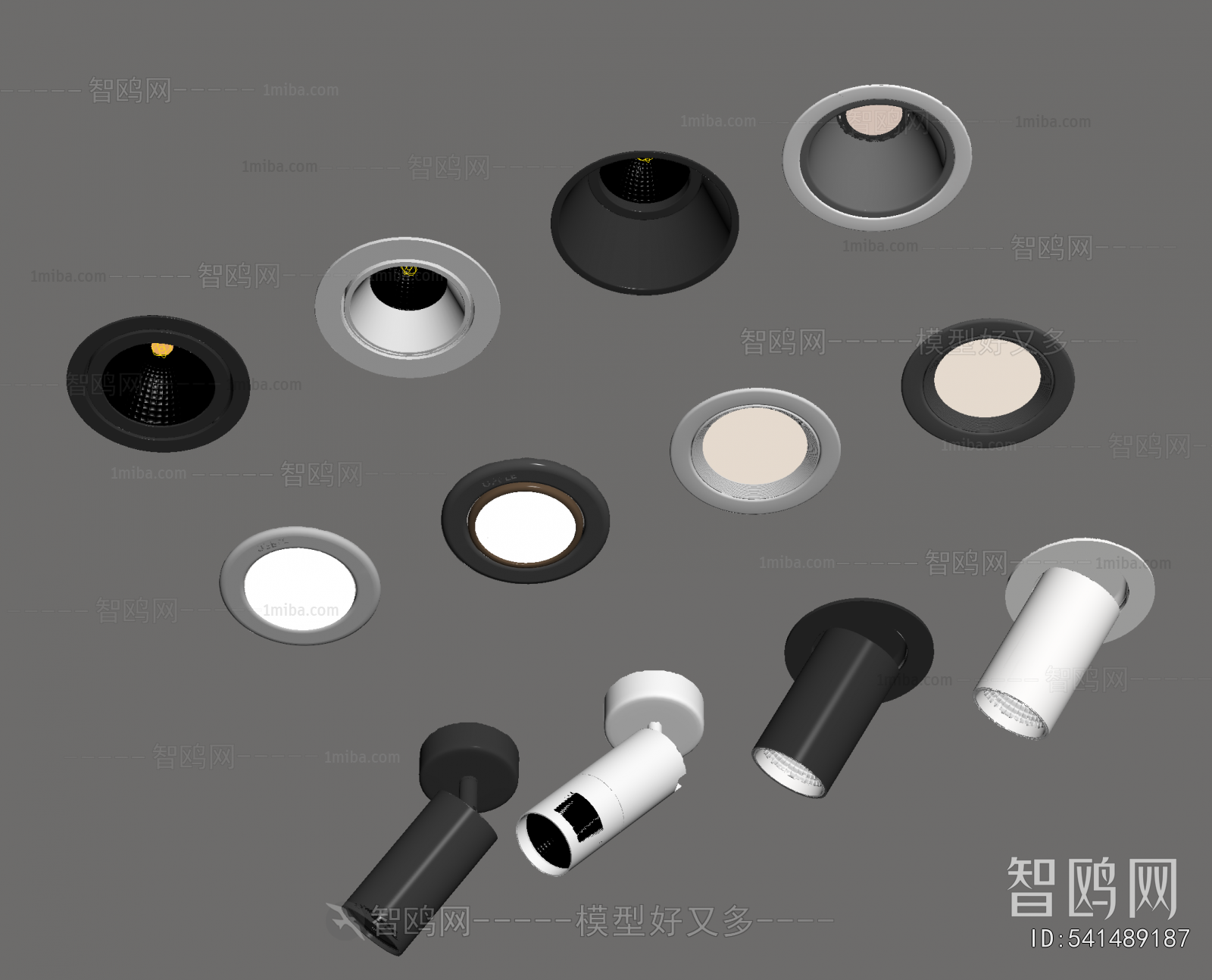 Modern Downlight Spot Light