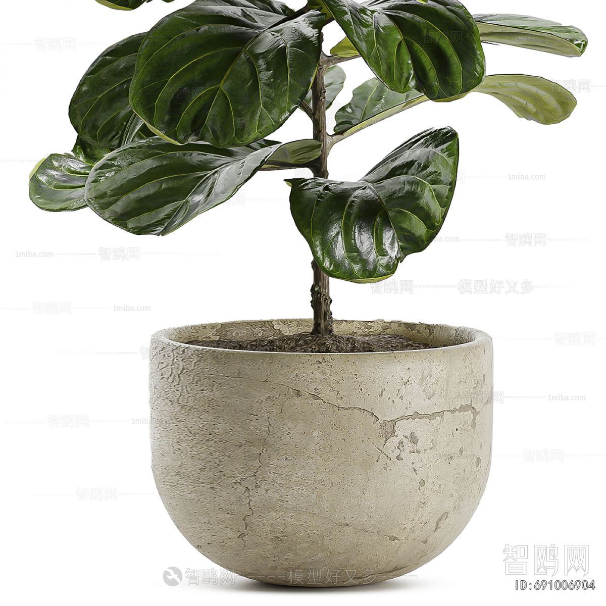 Modern Ground Green Plant Potted Plants