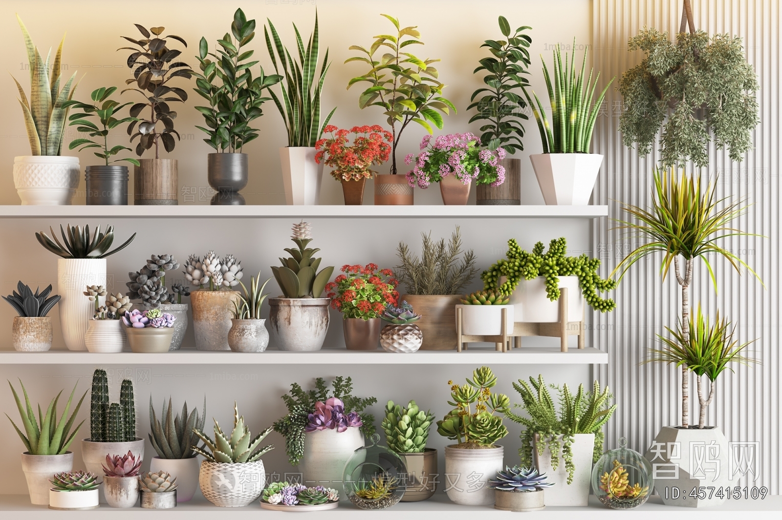 Modern Desktop Plant