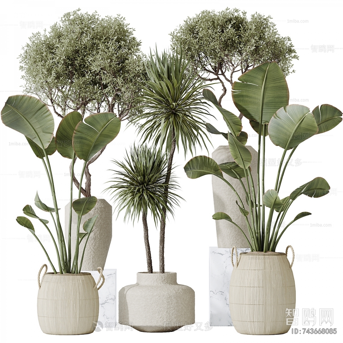 Modern Ground Green Plant Potted Plants