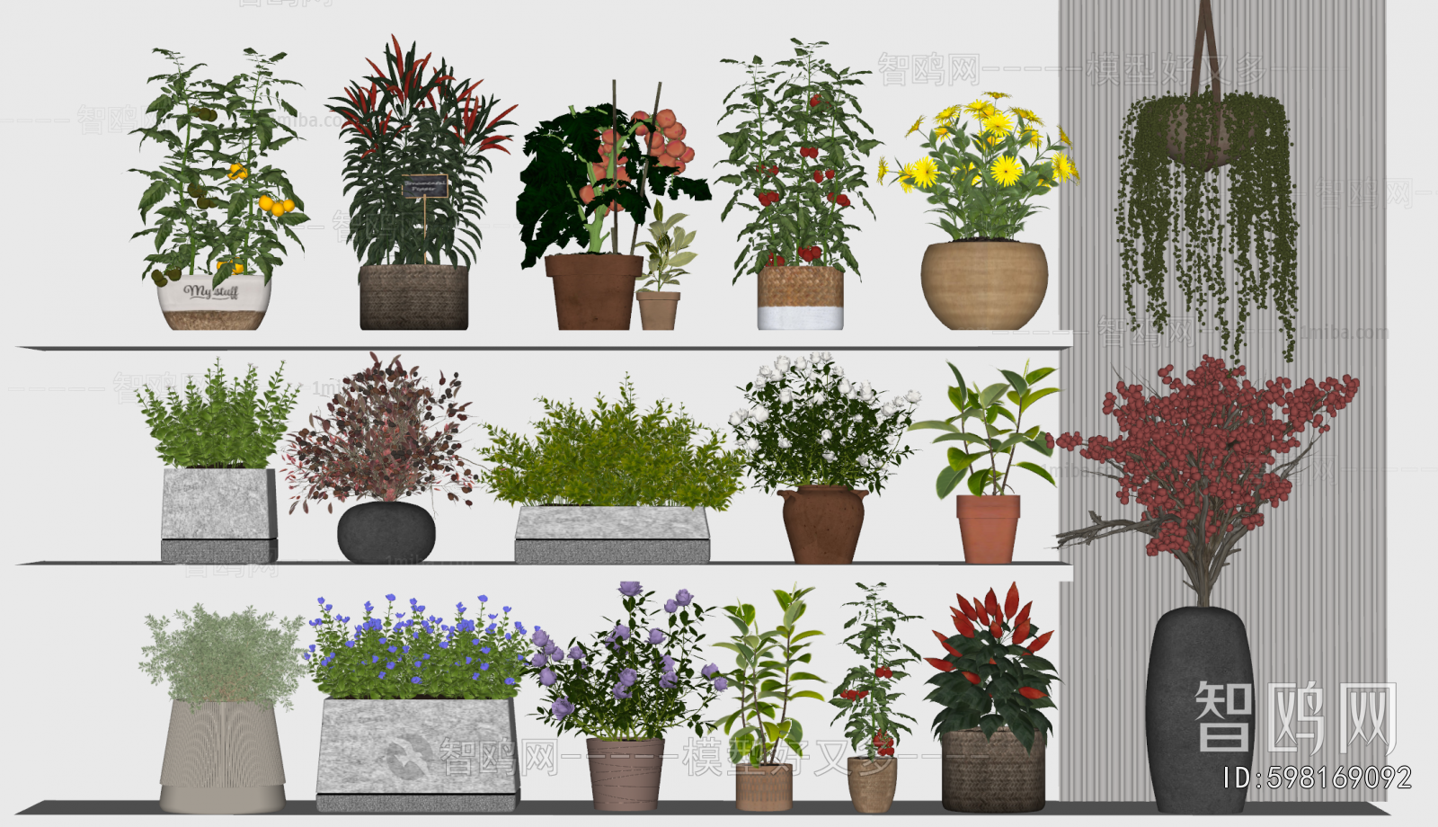 Modern Potted Green Plant