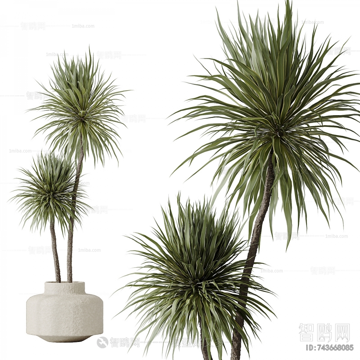 Modern Ground Green Plant Potted Plants