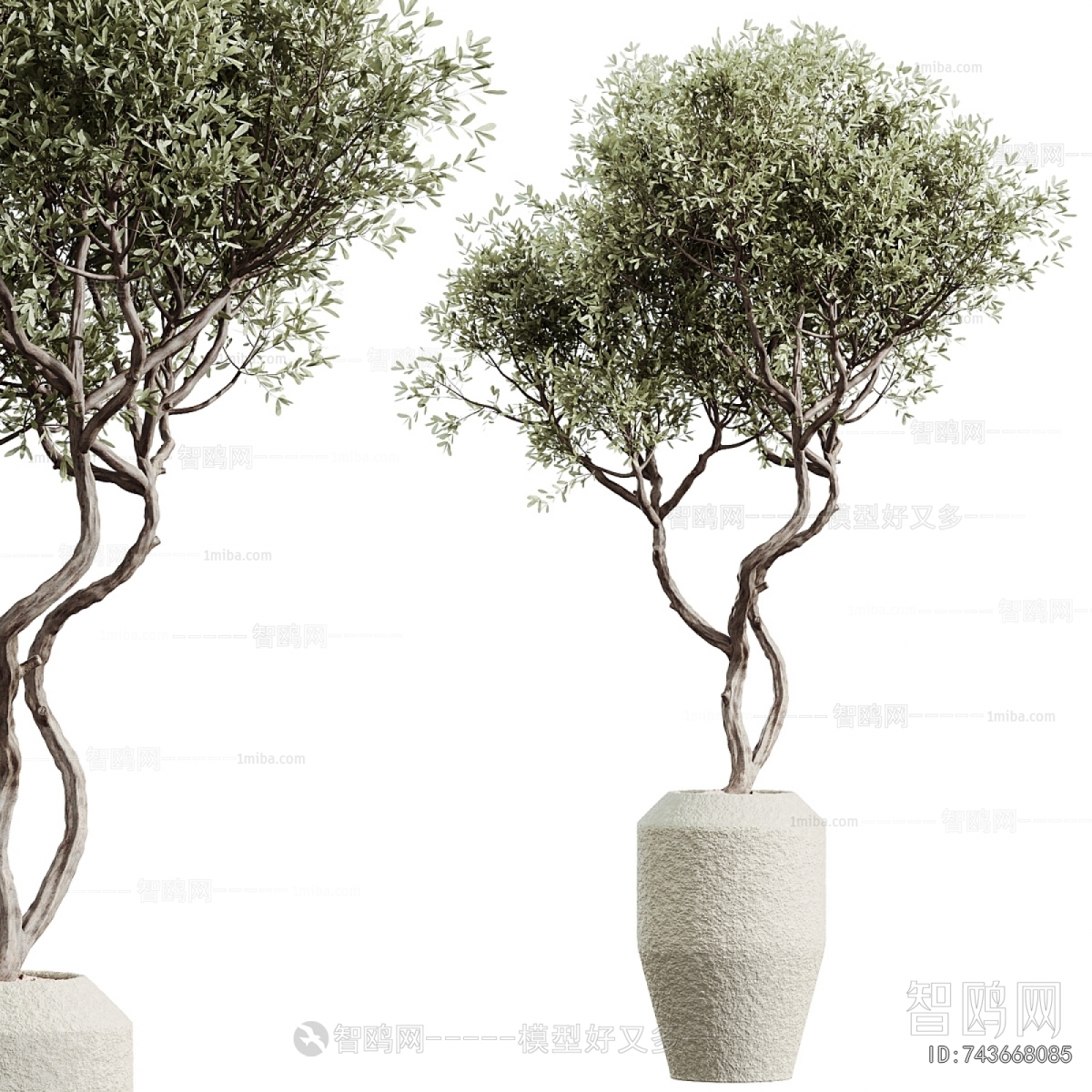 Modern Ground Green Plant Potted Plants