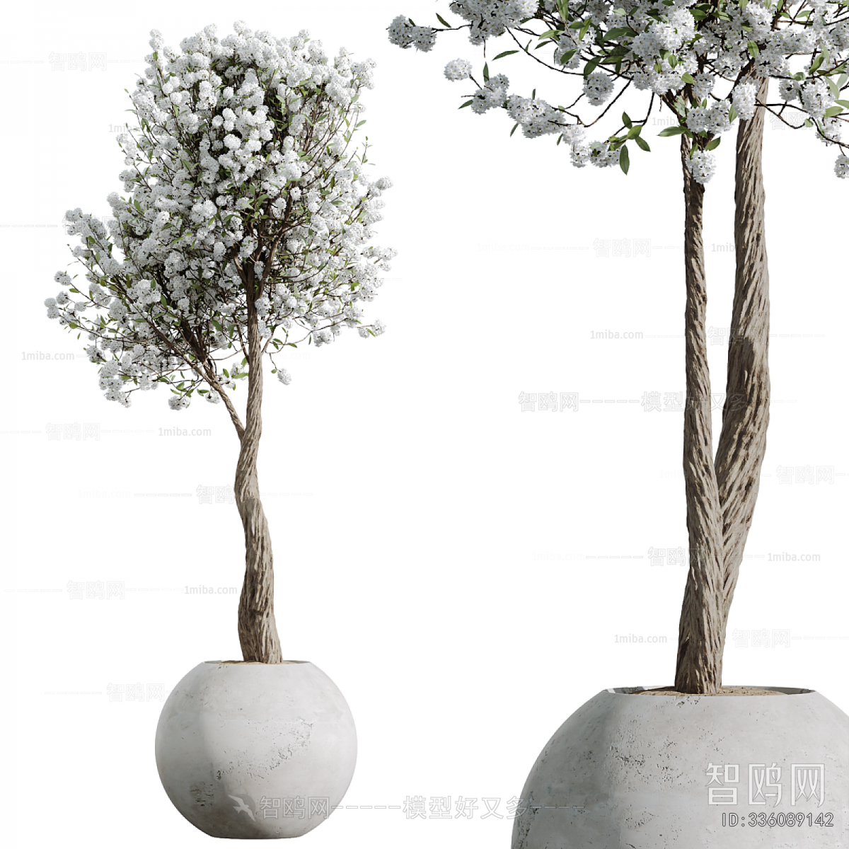 Modern Ground Green Plant Potted Plants
