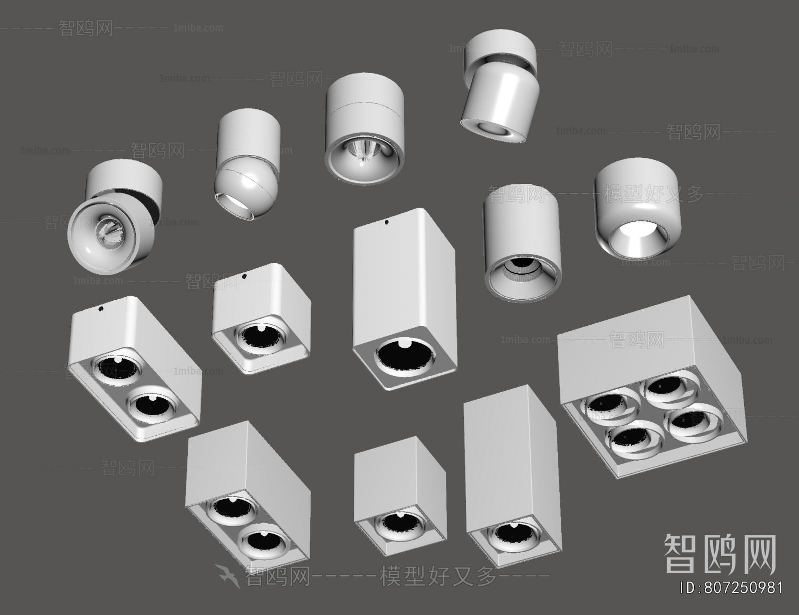 Modern Downlight Spot Light