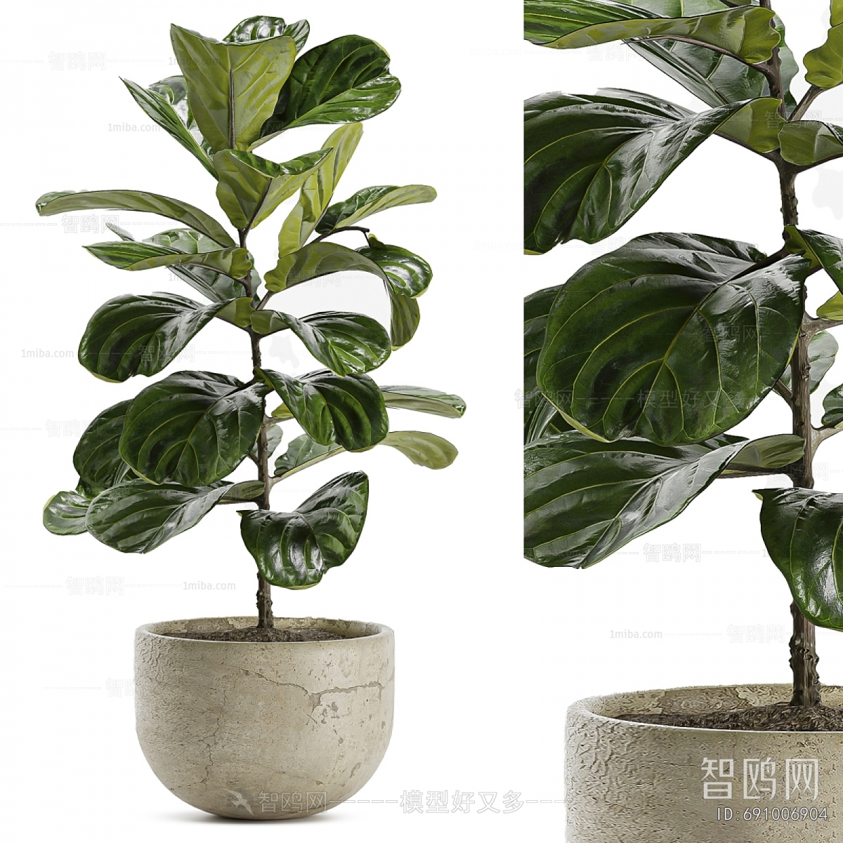 Modern Ground Green Plant Potted Plants