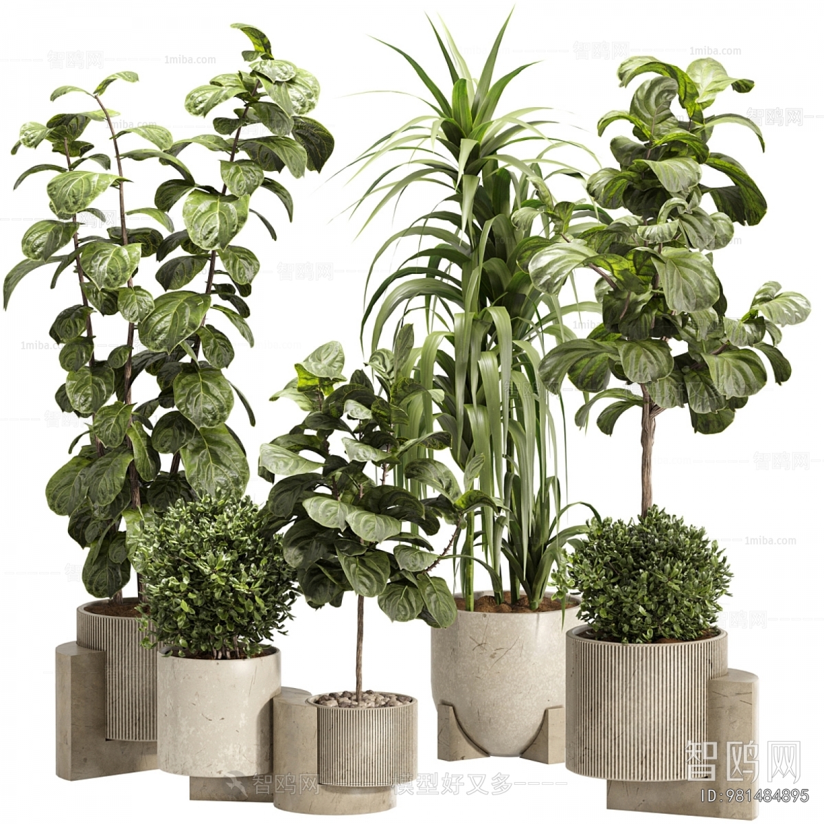 Modern Ground Green Plant Potted Plants