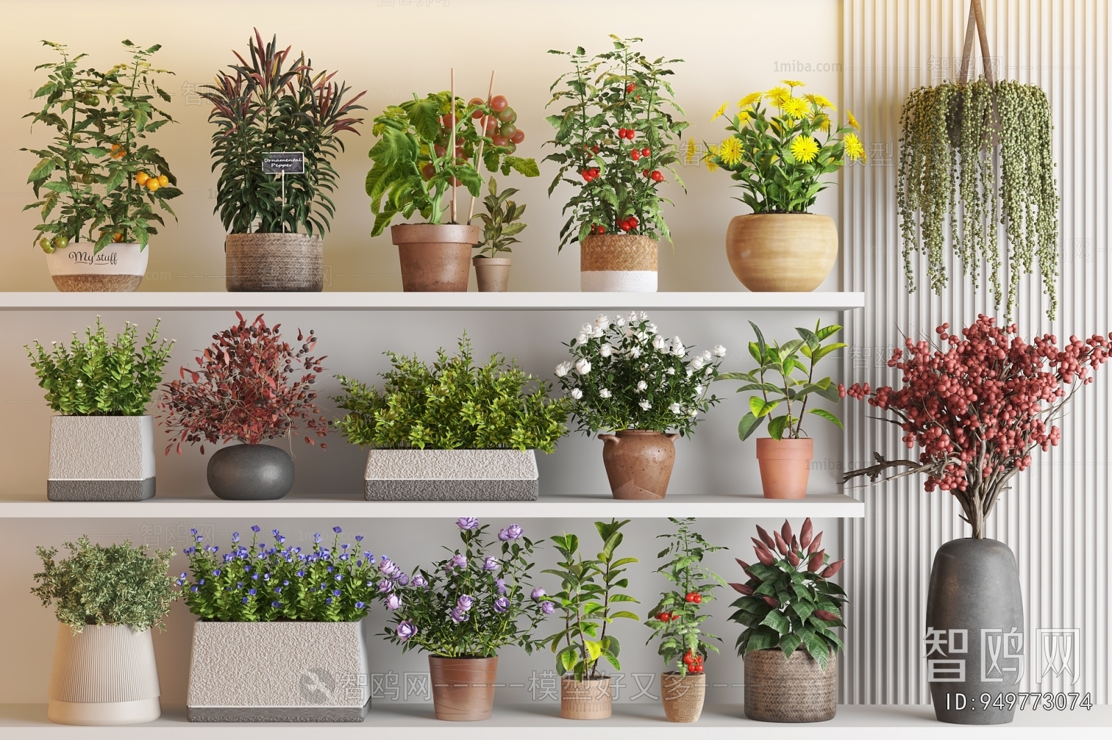 Modern Potted Green Plant